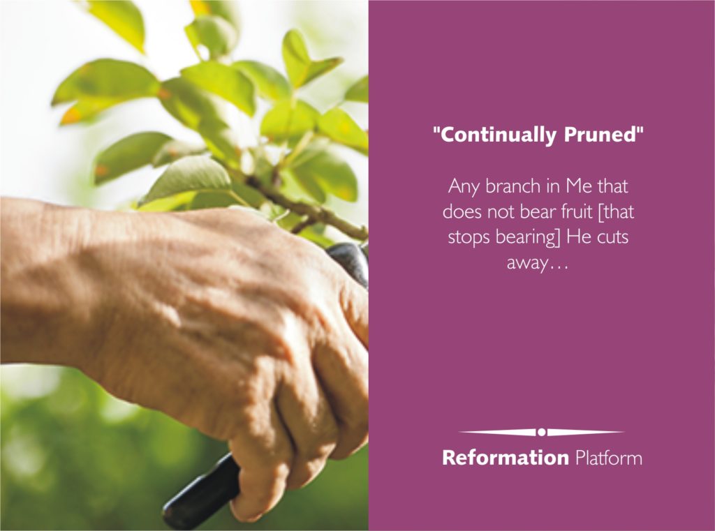 christian pruning