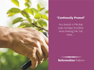 christian pruning